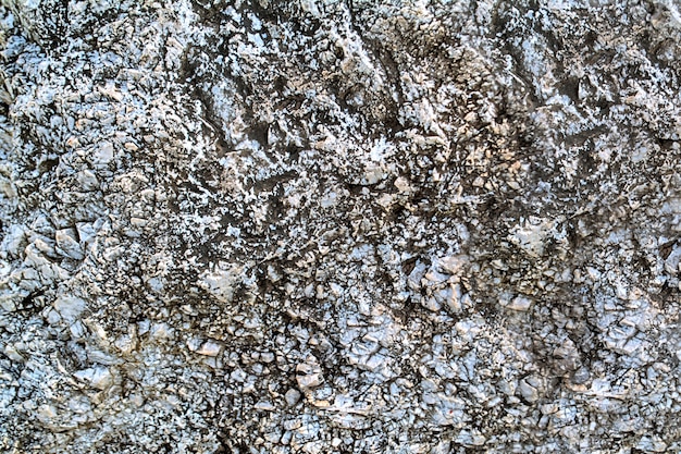 Zdjęcie szary kamień tekstura tło natura