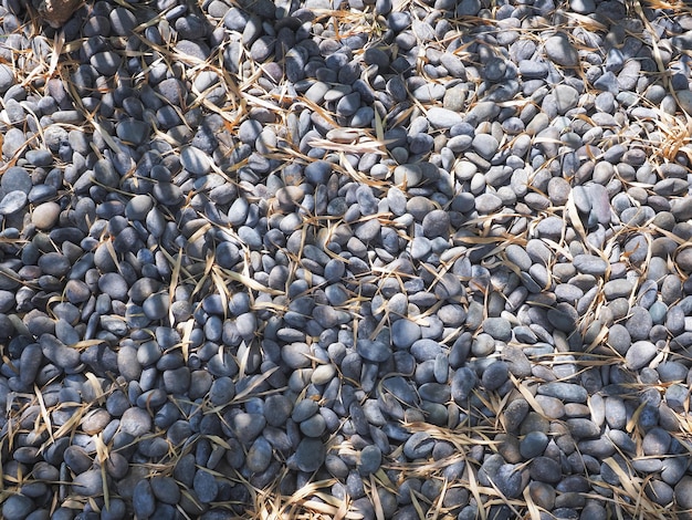 Zdjęcie szary żwir i suche liście spadające pod bambusowe drzewa