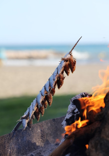 szaszłyk z pni oliwnych sardynek i ognisko z plażą