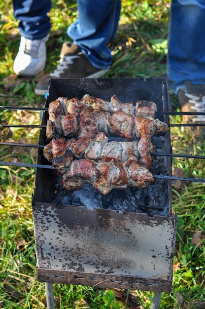 Szaszłyki Smażone Na Grillu