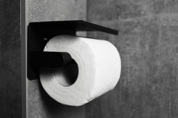 Szczegółowa łazienka z czarnym ściennym uchwytem na papier toaletowy Czarno-biały
