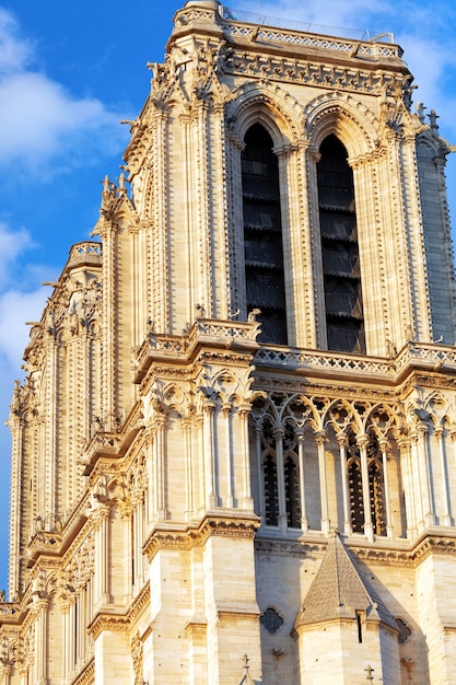 Szczegóły katedry Notre Dame de Paris. France.