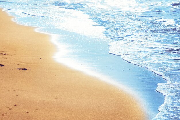 Szczegóły ludzkich stóp w złotym piasku na plaży. Koncepcja letnich podróży i wakacji.