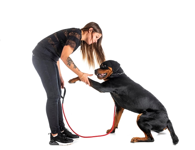 Szczeniak rottweilera i kobieta