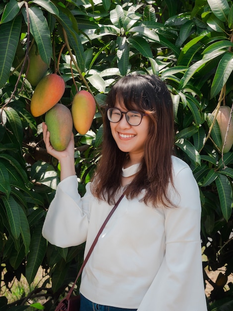 Szczęśliwa Azjatka w okularach zrywająca świeże tęczowe mango lub Mahachanok Mango z drzewa, tajski ogród owocowy