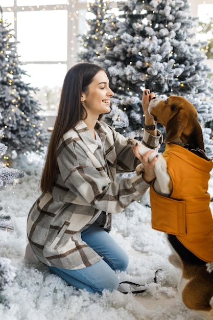 Szczęśliwa dziewczyna i pies na Boże Narodzenie Dziewczyna z psem rasy beagle w atmosferze Nowego Roku