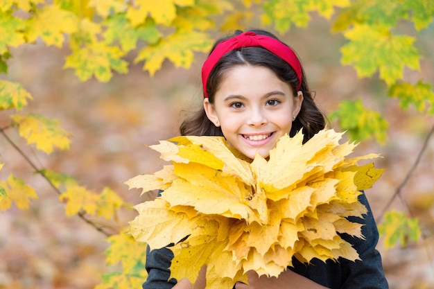 Szczęśliwa dziewczyna retro zbiera żółte liście klonu dziecko w jesiennym parku jesień to czas na szkołę