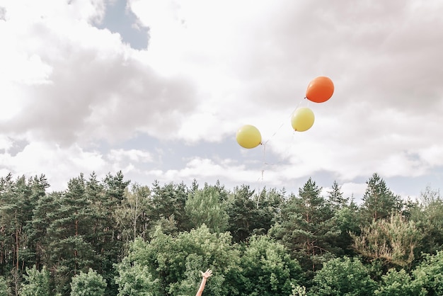 Szczęśliwa dziewczynka z balonami stojąca na trawniku w letni dzień