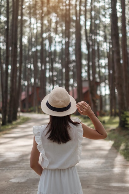 Szczęśliwa kobieta w białej sukni i kapeluszu podróżująca w sosnowym lesie, wizyta turystyczna w Doi Bo Luang, Chiang Mai, Tajlandia, punkt orientacyjny i popularny wśród atrakcji turystycznych. Koncepcja wakacji i podróży