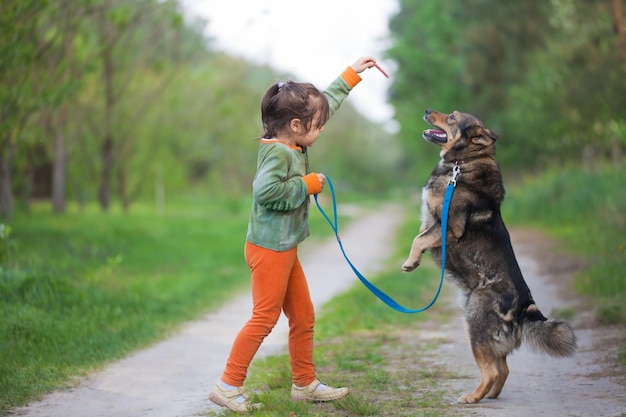 Szczęśliwa mała dziewczynka bawi się z dużym psem w lesie