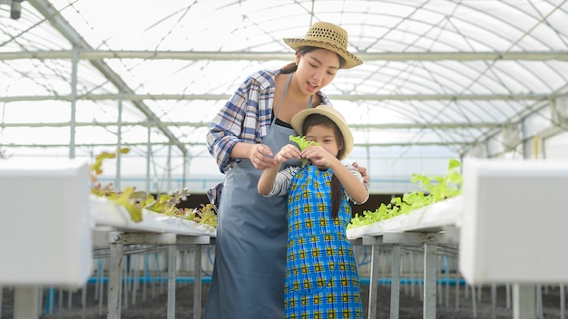 Szczęśliwa mama i córka rolnika pracują w hydroponicznej farmie szklarniowej, czysta i zdrowa żywność