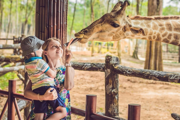 Szczęśliwa matka i syn oglądanie i karmienie żyrafy w zoo. Szczęśliwa rodzina bawi się ze zwierzętami w parku safari w ciepły letni dzień