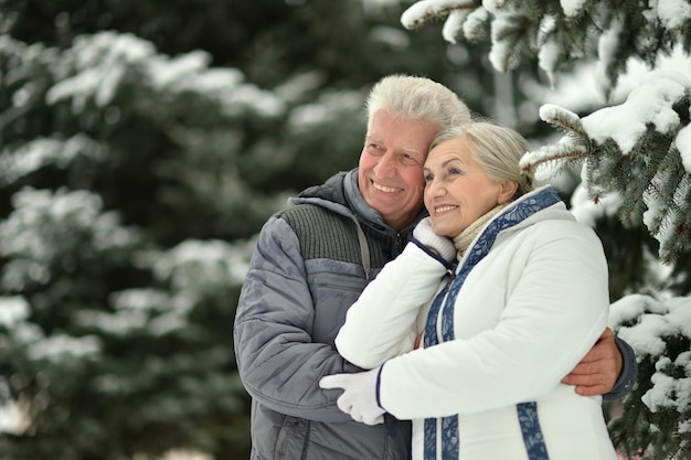 Szczęśliwa para starszych przytulających się w snowy winter park