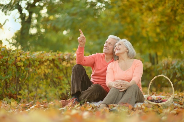 Szczęśliwa para starszych w jesiennym parku, mężczyzna wskazujący na coś