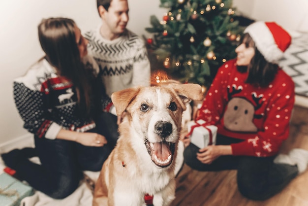 Szczęśliwa rodzina w stylowych swetrach i uroczym zabawnym psie wymieniającym prezenty na choince ze światłami emocjonalne chwile wesołych świąt i szczęśliwego nowego roku koncepcja miejsca na tekst