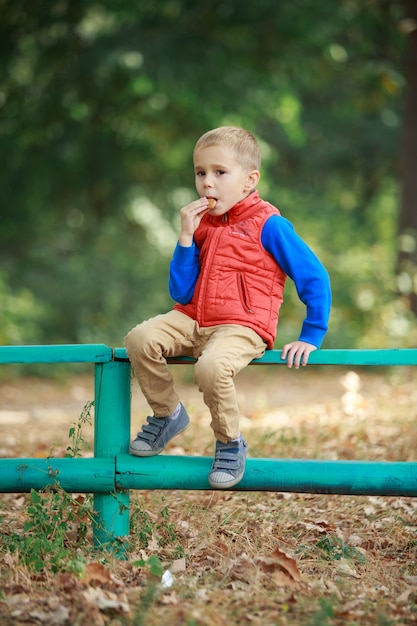 Szczęśliwa stylowa chłopiec siedzi na ogrodzeniu w lesie w jesień słonecznym dniu. Śmieszni uśmiechnięci chłopiec łasowania ciastka w zieleń parku outdoors. Mały chłopiec wesoły enjoing spacer na charakter w ciepłej wiosny.