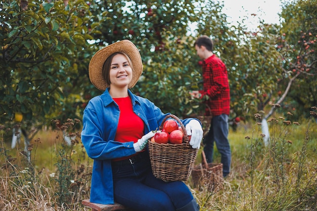 Szczęśliwa uśmiechnięta pracownica w kapeluszu zbierająca świeże dojrzałe jabłka w sadzie podczas jesiennych zbiorów Czas żniw
