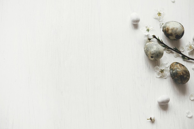 Szczęśliwa Wielkanoc Stylowe jaja wielkanocne i kwiaty wiśni na wiejskim białym stole leżą na płasko nowoczesne naturalne barwniki jaja marmurowe i wiosenne kwiaty Minimalny wzór granicy wielkanocnej z przestrzenią dla tekstu