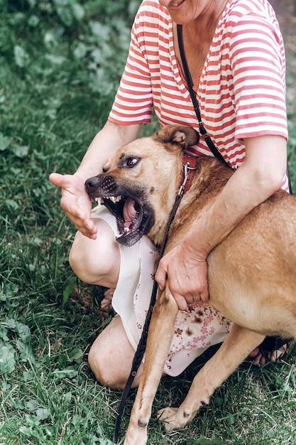 Szczęśliwa właścicielka bawiąca się z psem na zewnątrz energiczny pies gryzie rękę dla zabawy koncepcja schroniska dla zwierząt