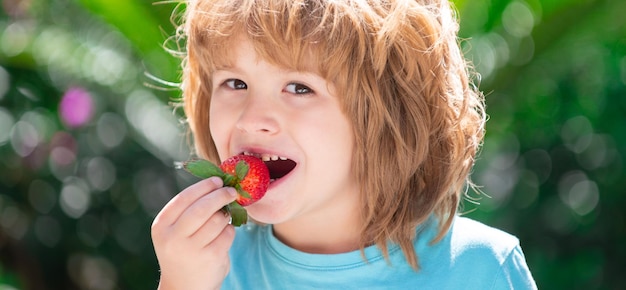 Szczęśliwe dziecko je truskawki, dzieci wybierają świeżą ekologiczną truskawkę