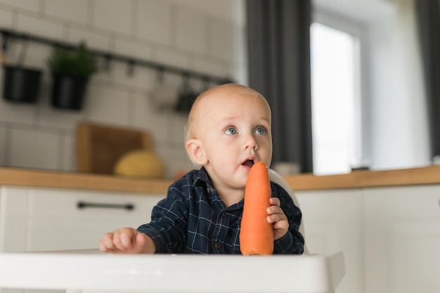 Szczęśliwe dziecko siedzi w krzesełku i je marchewkę w kuchni Zdrowe odżywianie dzieci Bio marchewka jako pierwszy pokarm stały dla niemowlęcia Dzieci jedzą warzywa Mały chłopiec gryzie surowe warzywa