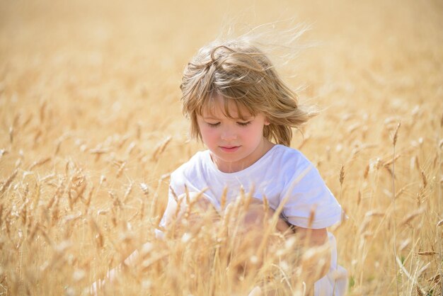 Szczęśliwe małe dzieci farmer na polu Pszenica to roślina zbożowa, z której ziarno jest mielone na mąkę na chleb Mały chłopiec cieszy się latami dzieciństwa na farmie Rolnictwo i uprawa