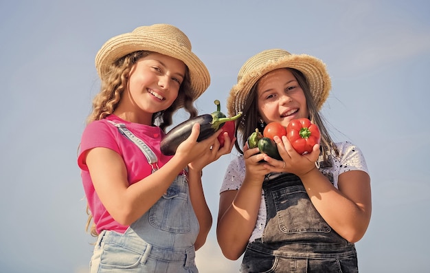 Szczęśliwe siostry pracują w rodzinnym gospodarstwie Naturalne odżywianie witaminami Sprzedawanie koncepcji żywności domowej Dziewczynki urocze dzieci w kapeluszach Rolnictwo Dzieci zbierające warzywa Organiczne warzywa Rynek warzyw