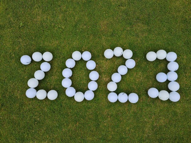 Zdjęcie szczęśliwego nowego roku 2023 piłka golfowa na zielonej trawie golfowej