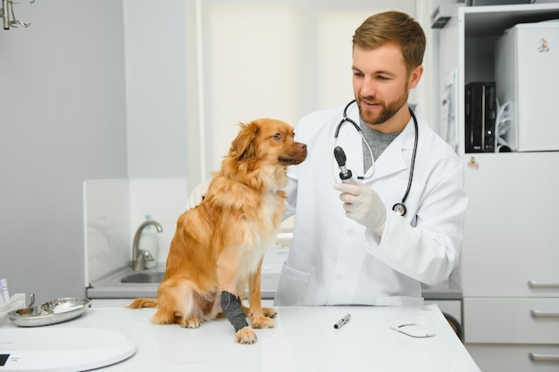 Szczęśliwi lekarze weterynarii badający psa w klinice