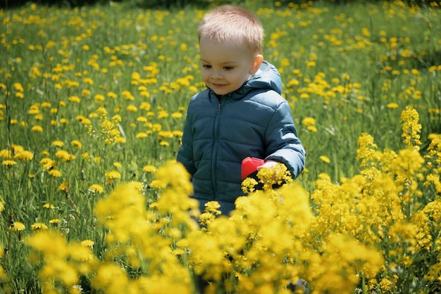 Szczęśliwy aktywny maluch spacerujący po kwitnącej żółtej łące na wiosnę