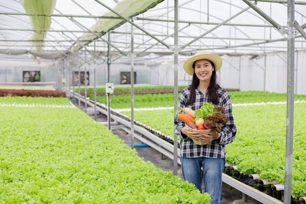 Szczęśliwy azjatycki rolnik kobieta trzyma kosz organicznych warzyw po zbiorach w gospodarstwie hydroponicznym z uśmiechem.