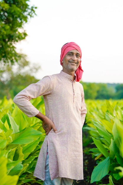 Szczęśliwy indyjski rolnik na zielonym polu rolnictwa z kurkumą