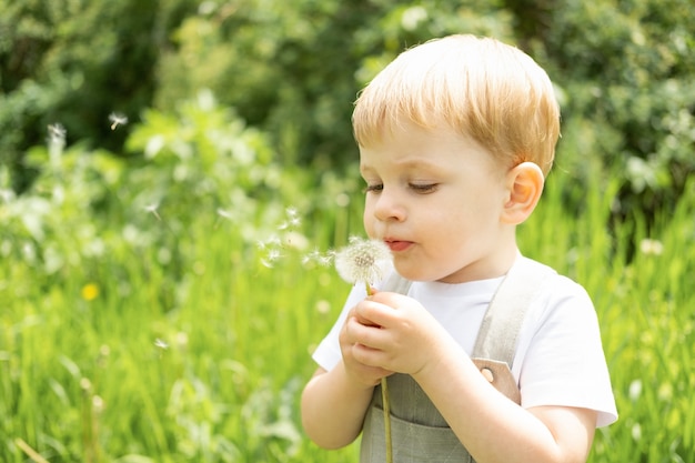 Szczęśliwy ładny blond dziecko chłopiec dmuchanie dendelion kwiat w zielonym parku.
