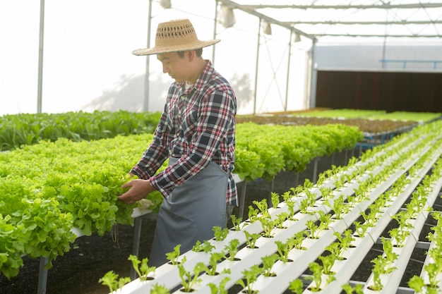 Szczęśliwy rolnik mężczyzna pracujący w hydroponicznej farmie szklarniowej, czysta żywność i koncepcja zdrowego odżywiania