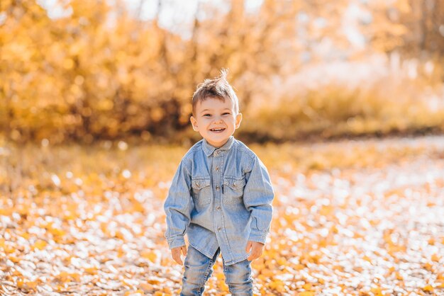 Szczęśliwy uśmiechnięty chłopiec bawiący się jesiennymi liśćmi w parku