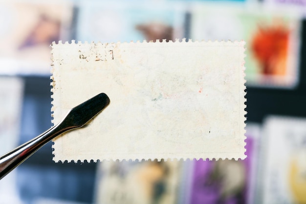 Szczypce do trzymania znaczka pocztowego z niewykorzystaną tylną stroną