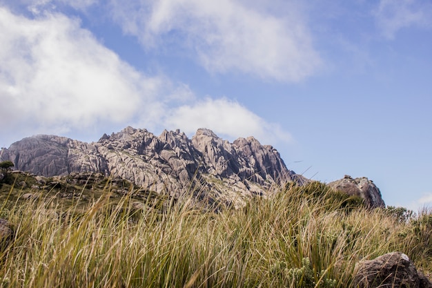 Szczyt Czarnych Igieł Itatiaia