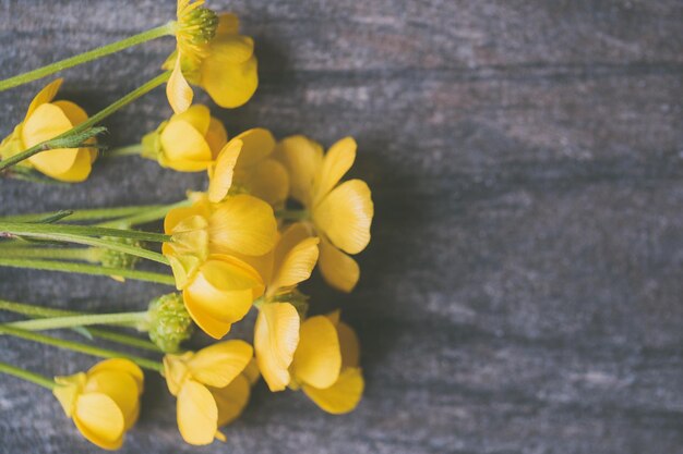 Zdjęcie szepczące płatki ujawniają tajemnice natury symfonia kwiatów gobelin piękna kwitnie