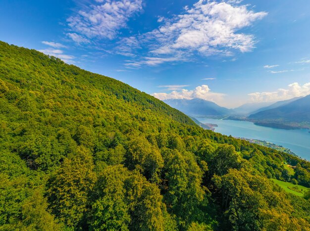 Szeroki kąt Panorama jeziora Como z Alpami i drzewami na pierwszym planie. Koncepcja pocztówki podróży