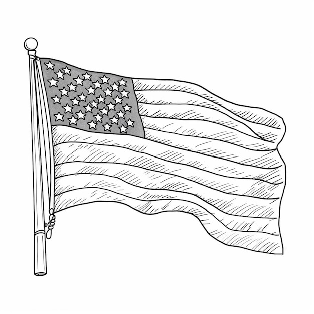 Szkic amerykańskiej flagi.