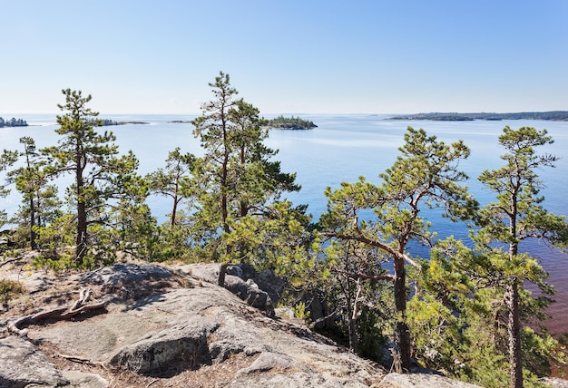 Szkielety jeziora Ładoga Karelia Rosja