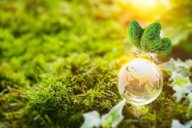 Zdjęcie szklana kula na zielonym mchu w koncepcji natury dla środowiska i ochrony z motylem