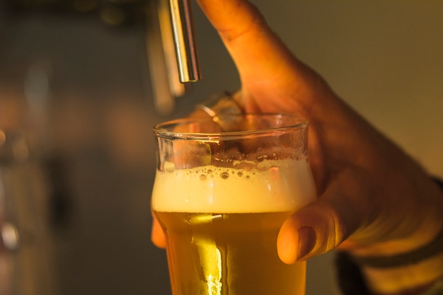 Szklanka piwa w barze