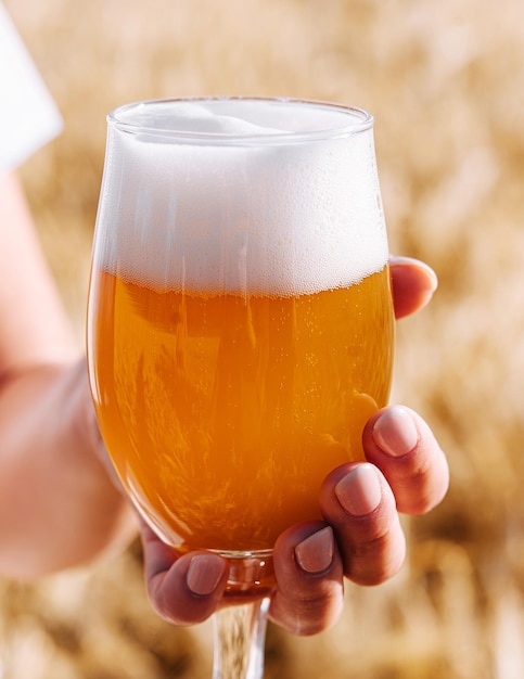 Szklanka piwa w ręku na tle pola pszenicy