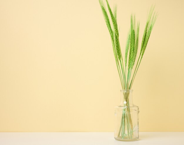 Szklany wazon z zielonymi kłosami pszenicy na białym stole