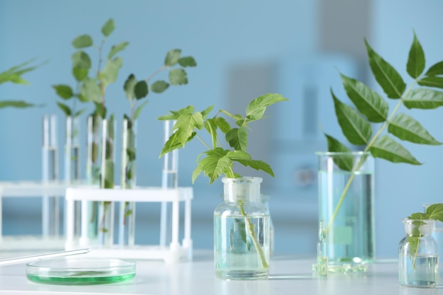 Szkło laboratoryjne z roślinami na białym stole