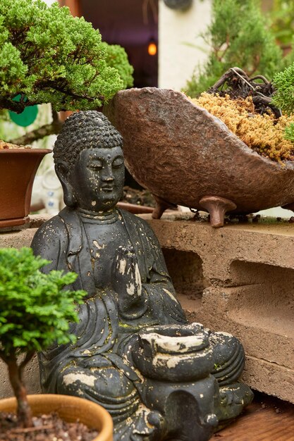 Szkółka Bonsai z różnorodnymi gatunkami