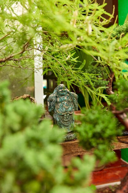 Szkółka Bonsai z różnorodnymi gatunkami