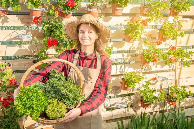 Szkółkarz w szklarni uśmiecha się z wiklinowym koszem pełnym aromatycznych roślin