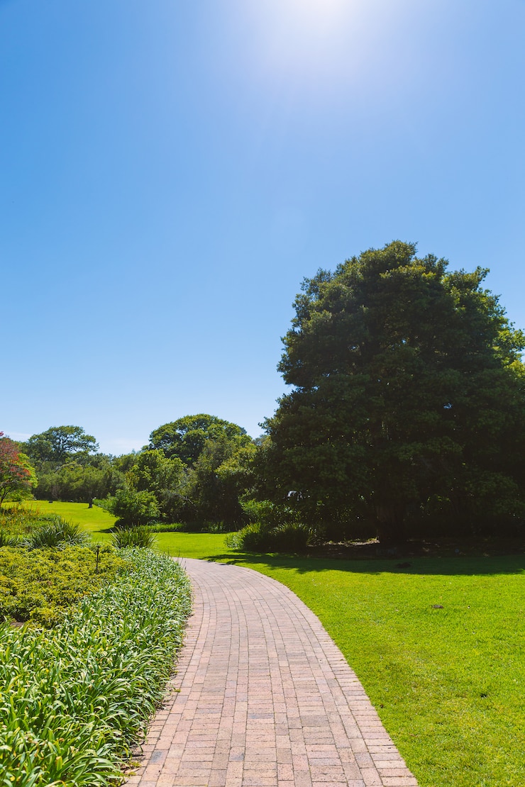 Szlak pieszy w ogrodzie botanicznym Kirstenbosch, Kapsztad